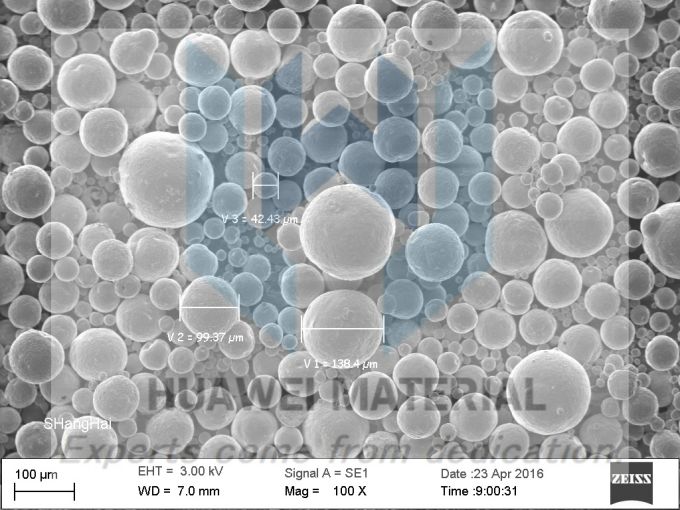 Tantalum disilicide (TaSi2) SEM
