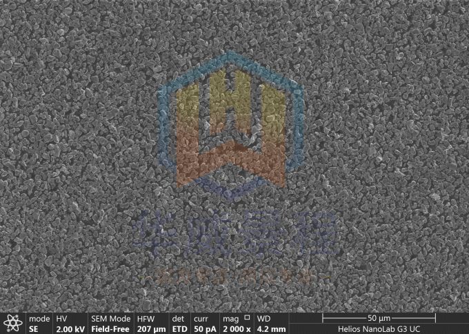 HfB2_01 (2)