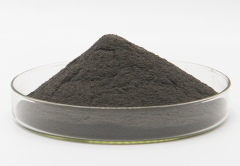<b>PROCESSING AND PROPERTIES OF BORON CARBIDE WITH HAFNIUM DIBORIDE ADDITION</b>
